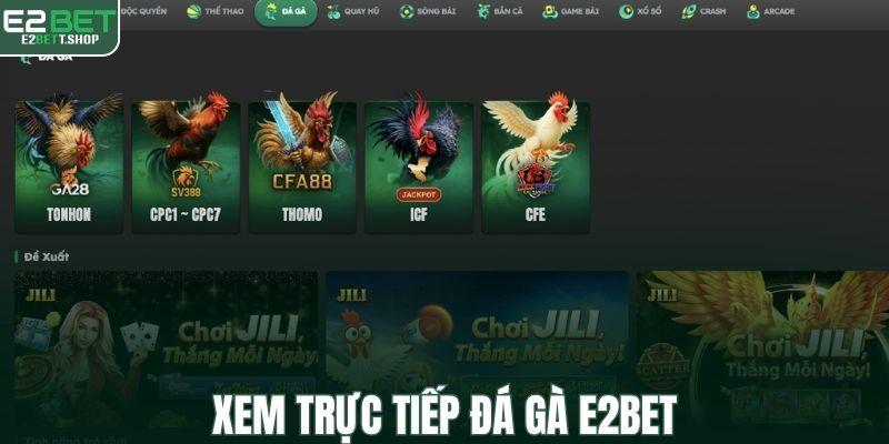 Xem trực tiếp đá gà E2BET
